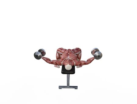 3D illustration of a muscle man posing and exercising with dumbbell for bodybuildingの写真素材