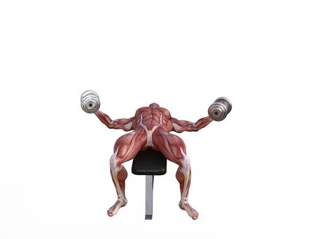 3D illustration of a muscle man posing and exercising with dumbbell for bodybuildingの写真素材