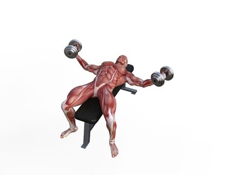3D illustration of a muscle man posing and exercising with dumbbell for bodybuildingの写真素材