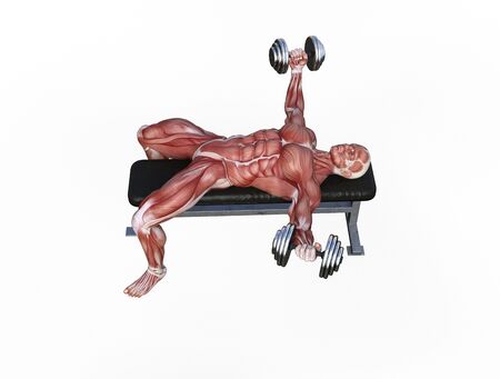 3D illustration of a muscle man posing and exercising with dumbbell for bodybuildingの写真素材