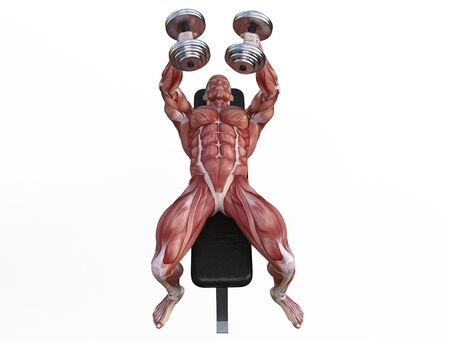 3D illustration of a muscle man posing and exercising with dumbbell for bodybuildingの写真素材
