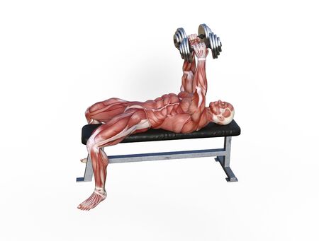3D illustration of a muscle man posing and exercising with dumbbell for bodybuildingの写真素材