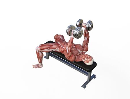 3D illustration of a muscle man posing and exercising with dumbbell for bodybuildingの写真素材