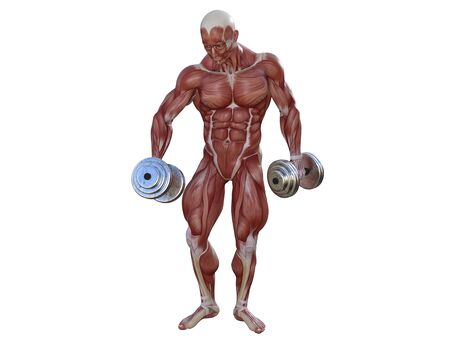 3D illustration of a muscle man posing and exercising with dumbbell for bodybuildingの写真素材