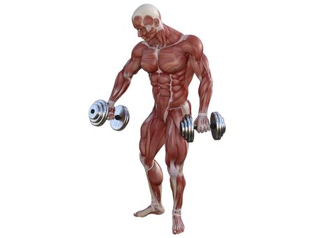3D illustration of a muscle man posing and exercising with dumbbell for bodybuildingの写真素材