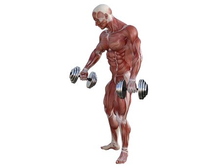 3D illustration of a muscle man posing and exercising with dumbbell for bodybuildingの写真素材