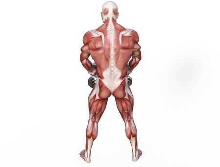 3D illustration of a muscle man posing and exercising with dumbbell for bodybuildingの写真素材