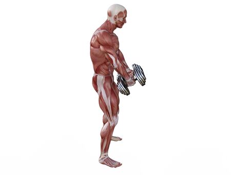 3D illustration of a muscle man posing and exercising with dumbbell for bodybuildingの写真素材