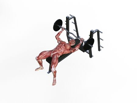 3D illustration of a muscle man posing and exercising with barbell for bodybuildingの写真素材