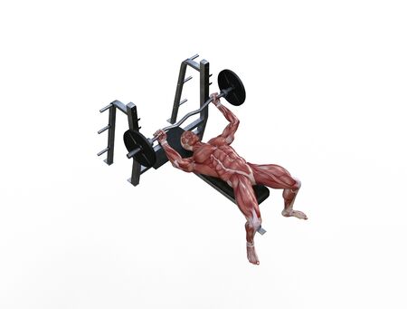 3D illustration of a muscle man posing and exercising with barbell for bodybuildingの写真素材