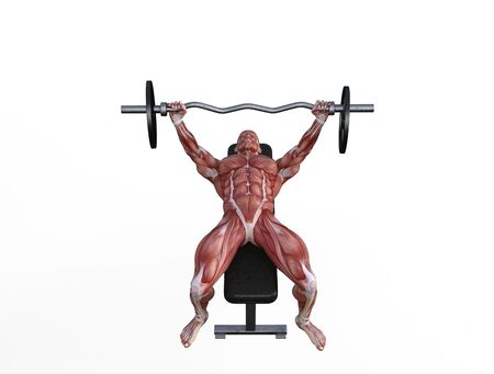 3D illustration of a muscle man posing and exercising with barbell for bodybuildingの写真素材