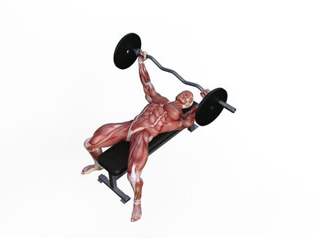 3D illustration of a muscle man posing and exercising with barbell for bodybuildingの写真素材