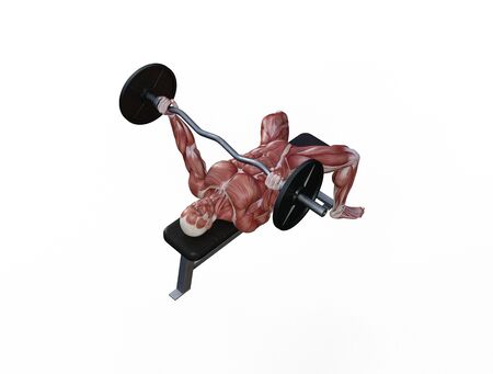 3D illustration of a muscle man posing and exercising with barbell for bodybuildingの写真素材