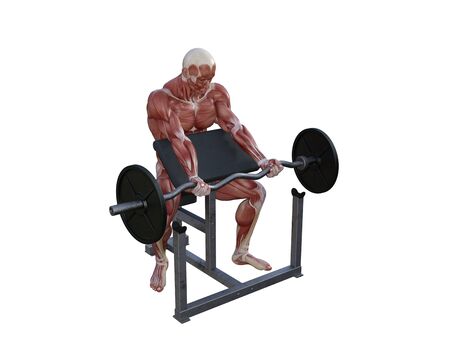 3D illustration of a muscle man posing and exercising with barbell for bodybuildingの写真素材