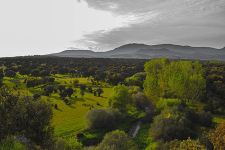 Background image of bright sunny day at a grass field and mountains with sky in black and whiteの写真素材