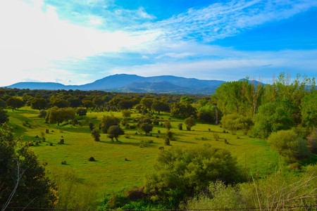 Background image of bright sunny day at a grass field and mountainsの写真素材