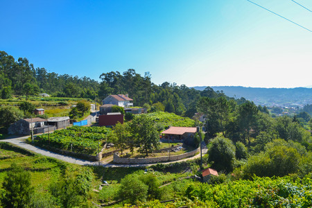 View of a quiet town in middle of a hill around trees and green grassの写真素材
