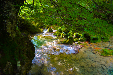 The source of Urederra or the route of the waterfalls of Baquedano, in Navarre, Spain.の写真素材