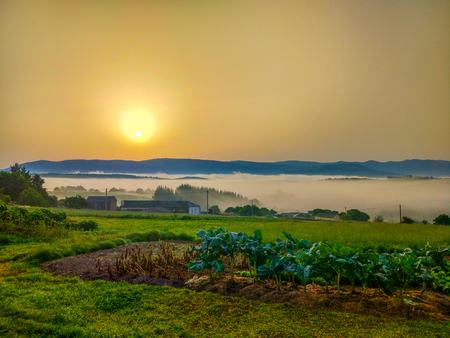 Green farmland and plantation in a meadow with mountains over clouds and sunrise at the background. Camino de Santiago Primitivoの写真素材