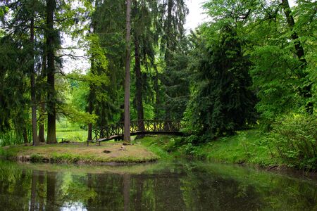 Small lake with reflections in a forest with trees and a bridge in Zamecky Park, in Hluboka nad Vltavou (Czech Republic)の写真素材