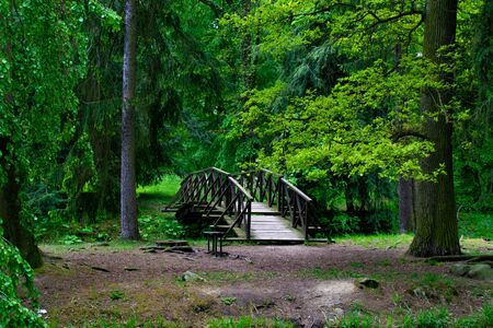 Pathway between trees with a bridge crossing a small lake in the forest of Zamecky Park, in Hluboka nad Vltavou (Czech Republic)の写真素材