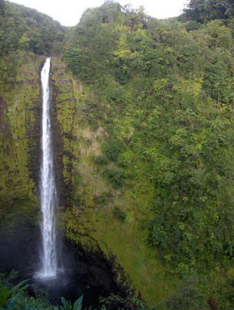 Akaka Falls, Hawaiiの写真素材