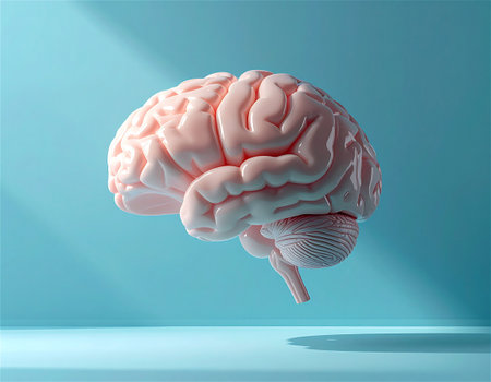 Translucent Glass Shell Enclosing a pink ceramic Human Brain Conceptual Symbol of Fragile Intelligenceの素材