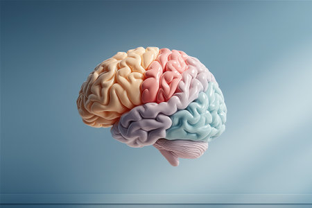 Translucent Glass Shell Enclosing a colourful ceramic Human Brain Conceptual Symbol of Fragile Intelligenceの素材