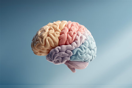 Translucent Glass Shell Enclosing a colourful ceramic Human Brain Conceptual Symbol of Fragile Intelligenceの素材