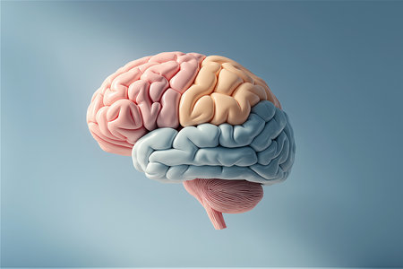 Translucent Glass Shell Enclosing a colourful ceramic Human Brain Conceptual Symbol of Fragile Intelligenceの素材