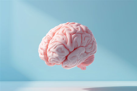 Translucent Glass Shell Enclosing a pink ceramic Human Brain Conceptual Symbol of Fragile Intelligenceの素材