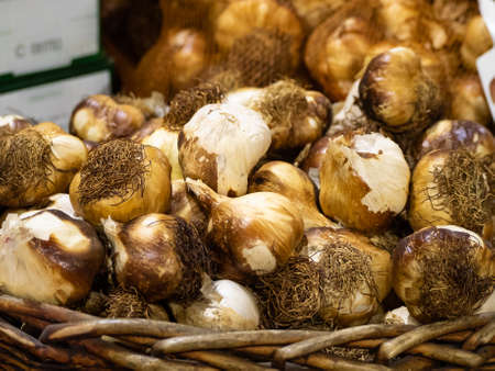 Smoked Garlic Bulbs on display in a Wicker Basket at a fresh produce stall in London's Borough Marketの写真素材