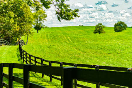 Landscape on a summer day
