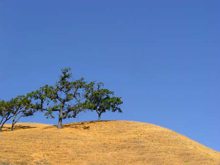California hills and trees with space for copyの写真素材