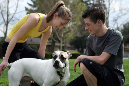 Teenagers playing with a dog in the park