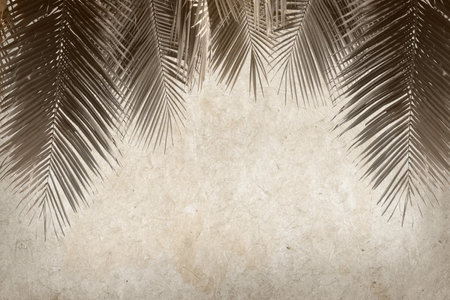 Palm leaves on old paper texture background with copy space for textの写真素材