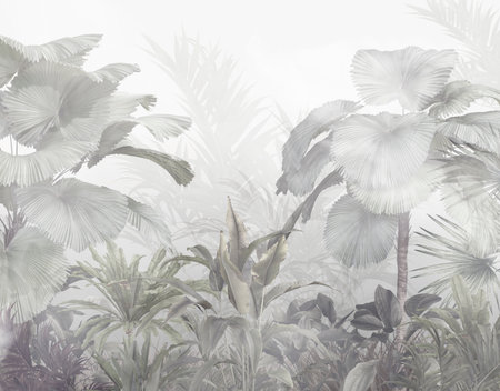 Tropical palm leaves on a foggy background. Exotic background.の写真素材