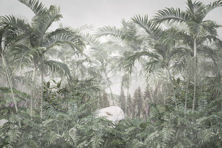 Tropical rainforest with fog and palm trees on a misty dayの写真素材