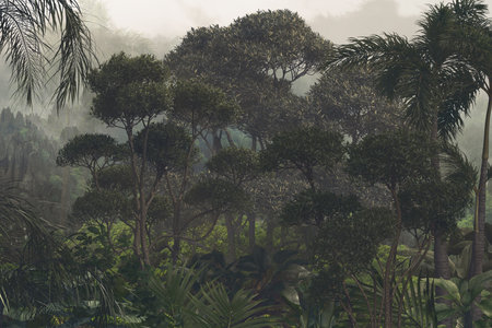 tropical rainforest with palm trees and plants in foggy morning