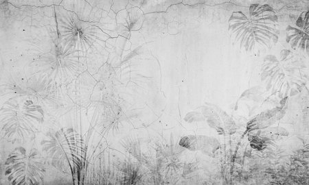 Black and white image of tropical palm leaves on grunge wall.の写真素材