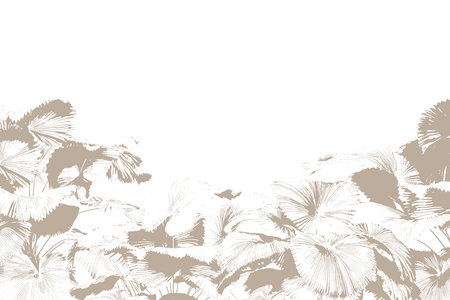 Palm leaves background. Black and white vector illustration for your design.の写真素材