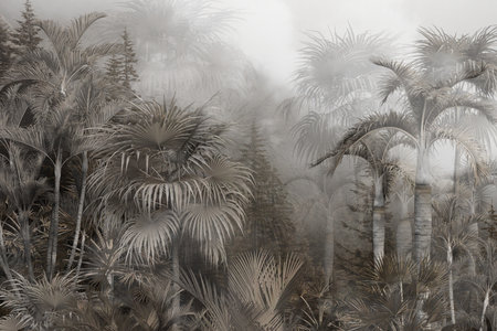 Palm trees in the fog. Tropical forest in the fog.