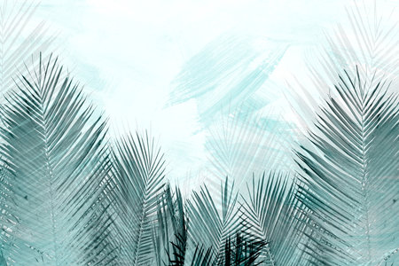 Tropical palm leaves on blue background. Tropical palm leaves.の写真素材