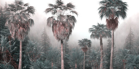 Palm trees in a foggy forest. 3D illustration.の写真素材