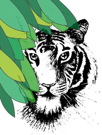 Tiger under leafsのイラスト素材