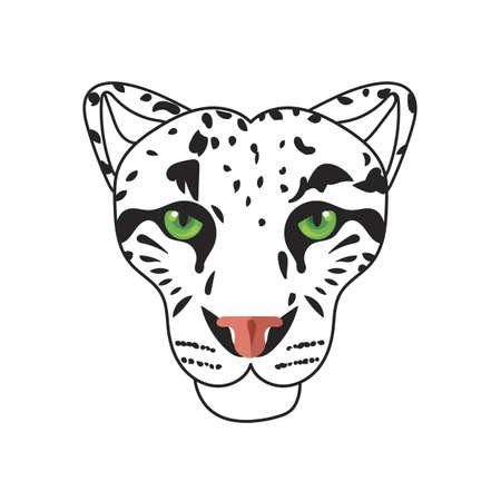 Wild cat, irbis, leopard, snow bars in vectorのイラスト素材