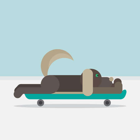 Dog sitting on a skateboard. Vet symbol. Delivery icon. Vectorのイラスト素材