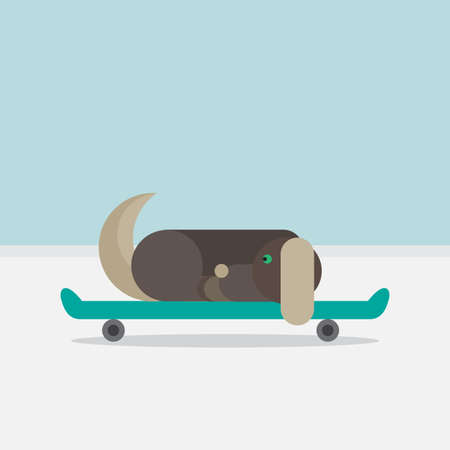 Dog sitting on a skateboard. Vet symbol. Delivery icon. Vectorのイラスト素材