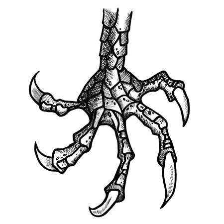 Dragon or monster paw with claws. Wild tattoo. Horror sticker. Halloween symbol. Digital line art for t-shirt, print, fabric, sticker, art. Vectorのイラスト素材
