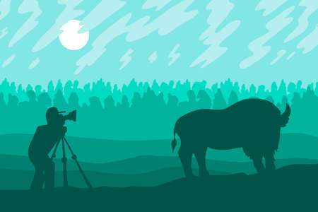 Photographer photographs bison in the forest reserve. Vectorのイラスト素材